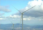 Renewable Energy - IMPIANTO PUGLIA